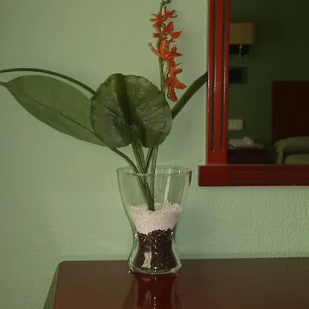 Hotel Serit-2
