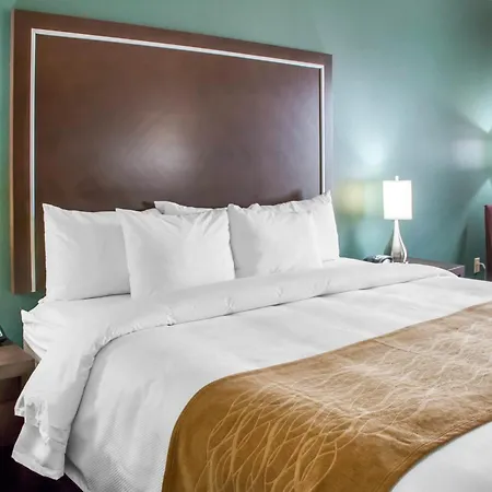 Comfort Inn & Suites San Marcos Near Outlet Mall-2