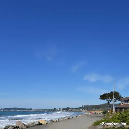 The Oceanfront Stay On Miramarbeach Hmb-3