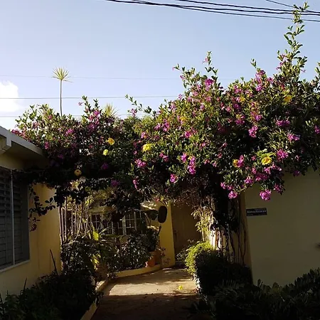 Kingston Cottage-2