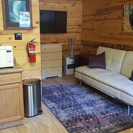 Talkeetna Fireweed Cabins-3