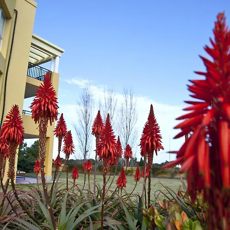 Punta Del Este Resort & Spa-3