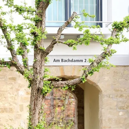 Alte Stadtmauer - Apartment-3