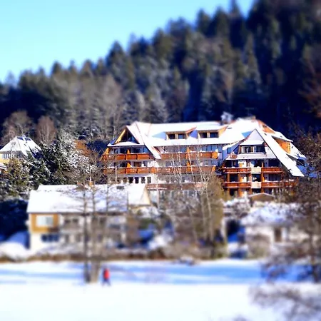 Erfurths Bergfried Ferien&Wellnesshotel-2