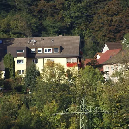 Hotel Storchen-2