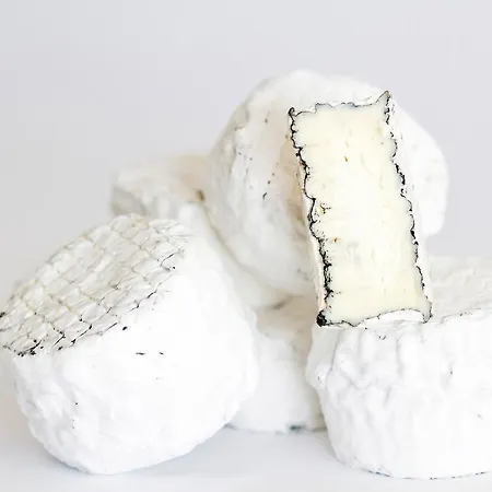 Reves De Moutons-2
