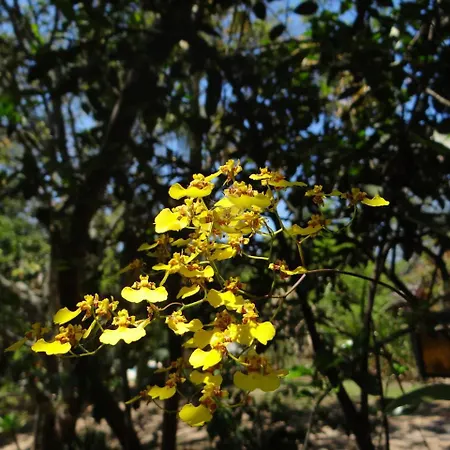 Chalé Rancho Aratama-2