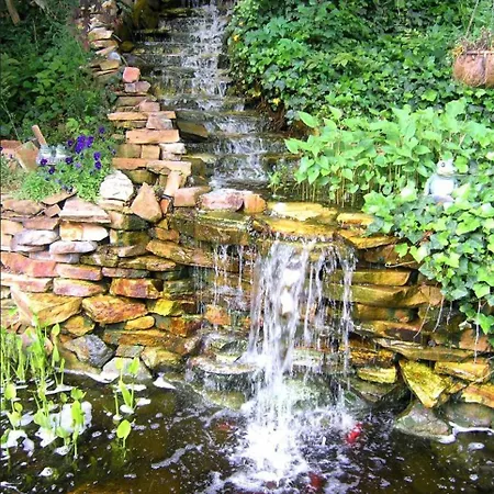 Black Forest Bed & Breakfast-2