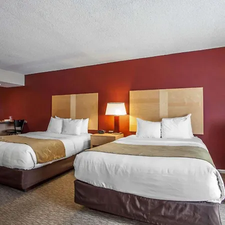 Comfort Suites Michigan Avenue-2