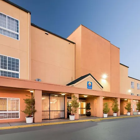 Comfort Inn & Suites Oakland Airport-3
