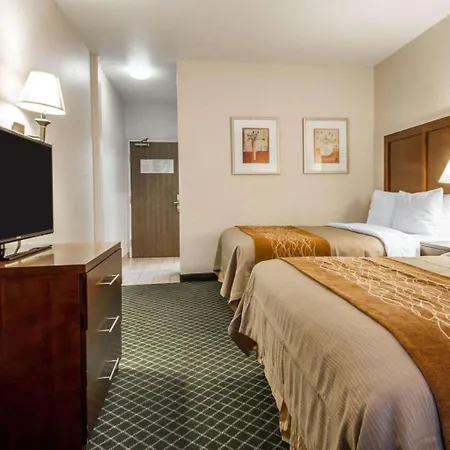 Comfort Inn & Suites Oakland Airport-2