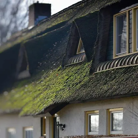 B&B-Hotel de Joremeinshoeve-3