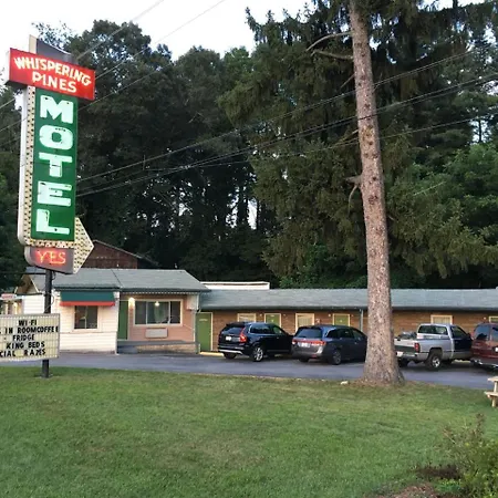 Whispering Pines Motel - Asheville-2