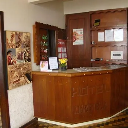 Hotel Maristela-3