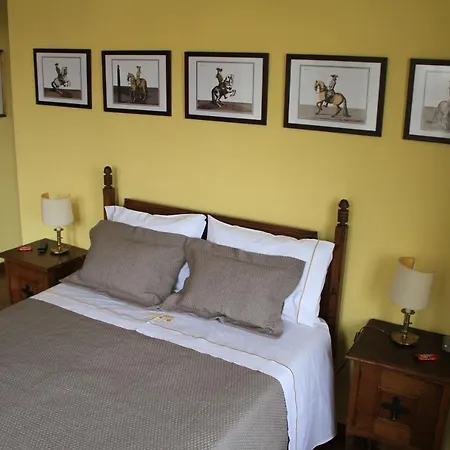 Camping Lamego Douro Valley-2