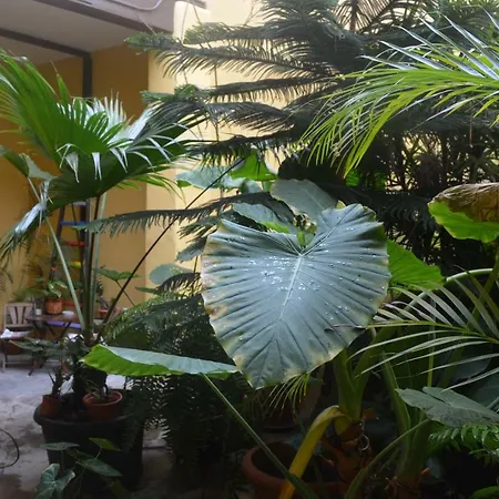Casa Colonial Cejas-3