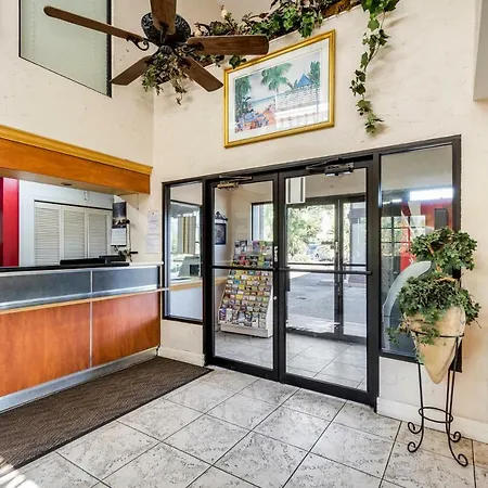 Econo Lodge Palm Harbor - Clearwater-2