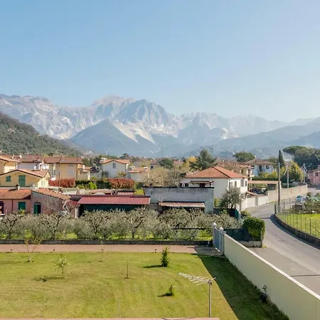 Merlo d'Oro-2