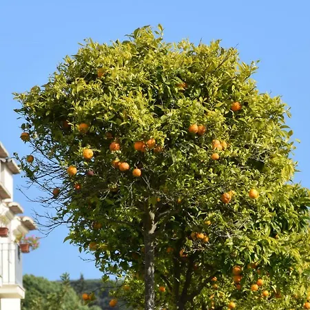 Quinta De Catralvos-3