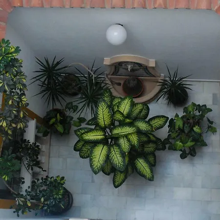 Hostal Costa De La Luz-2