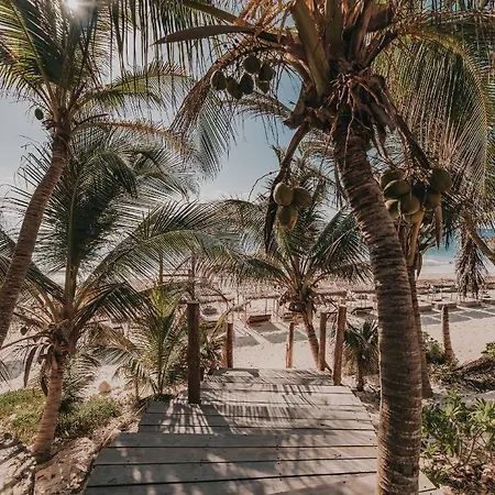 Papaya Playa Project, Tulum, A Member Of Design Hotels-2