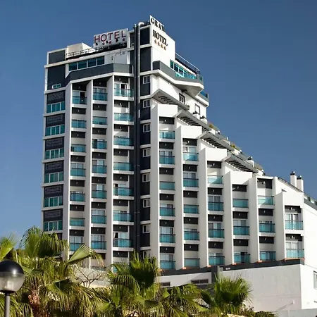 La Familia Gallo Rojo-2