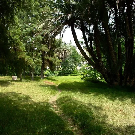 Sidi Harazem-2
