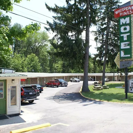Whispering Pines Motel - Asheville-3