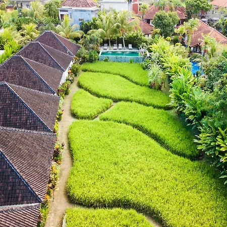 Abipraya Ubud-3