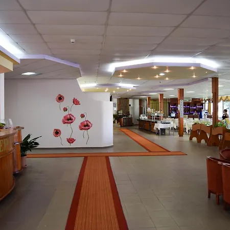 Balaton Hotel-3