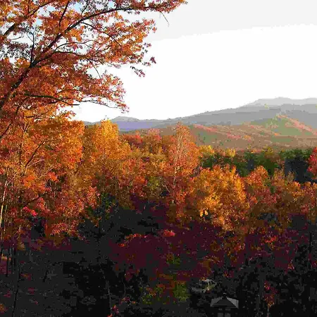 Buckhorn Inn-2