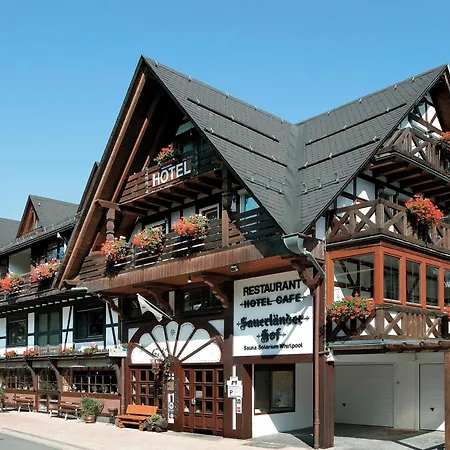 Hotel Sauerländer Hof-3