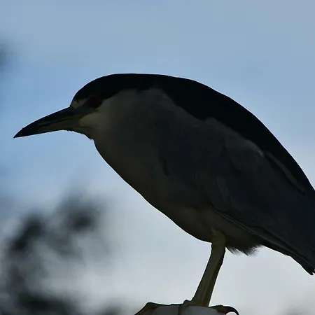 Pousada Barra Sul-3