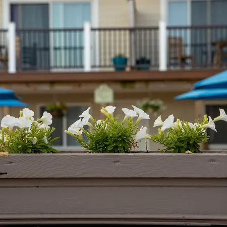 Aqualina Inn Montauk (Adults Only)-2