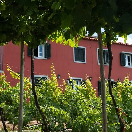 Quinta Das Vinhas-2