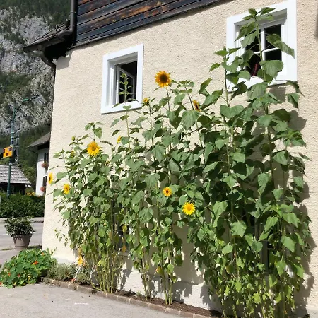 Fenix Hall Boutique Hotel Hallstatt-3