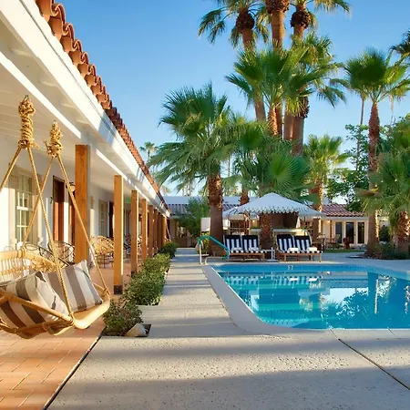 Dive Palm Springs Hotel - 21 & Over-3