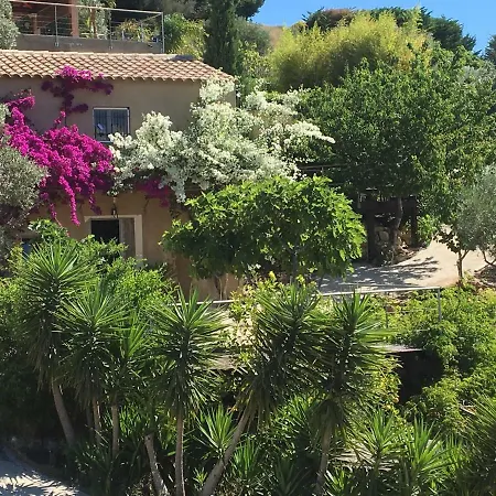Les terrasses sur mer-3