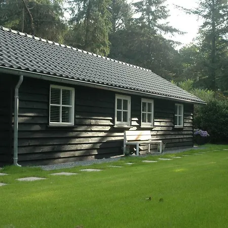 Aan de Bosrand Hoenderloo-3