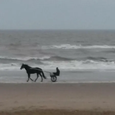 B&B Noordwijk Binnen-2