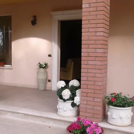 Le Palme-2