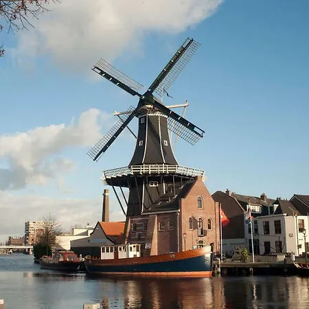 Bed&Breakfast Frans Hals Haarlem-3