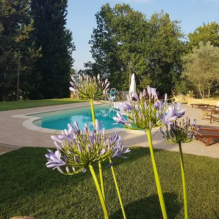 B&B Podere Rivoltino Di Sopra-2