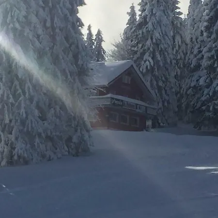 Auerhahn-3