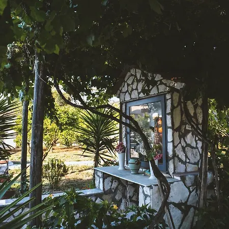 B&B L'Uliveto-2