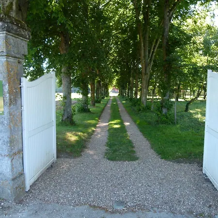 Le Grand Saint-Marc-3