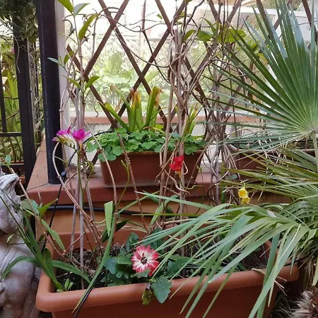 B&B Alassio-2