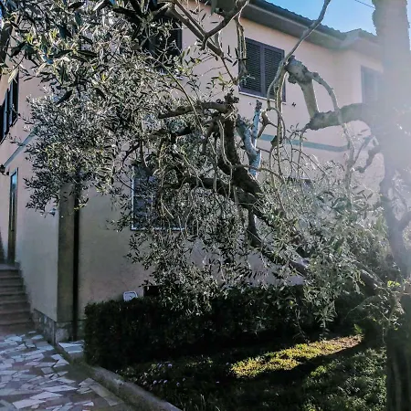 Maremmano BnB-2