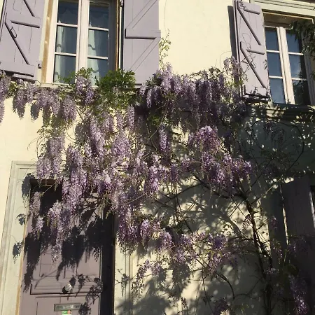 Lilas-Rose-3