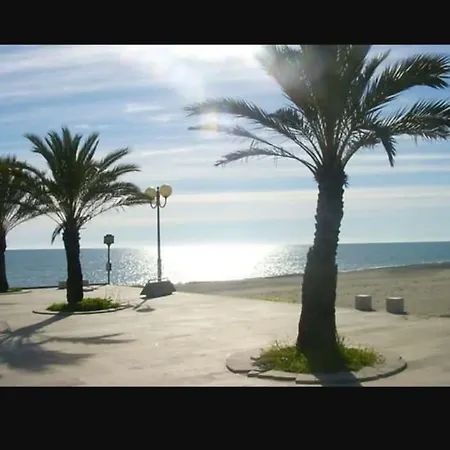 Belvedere-3